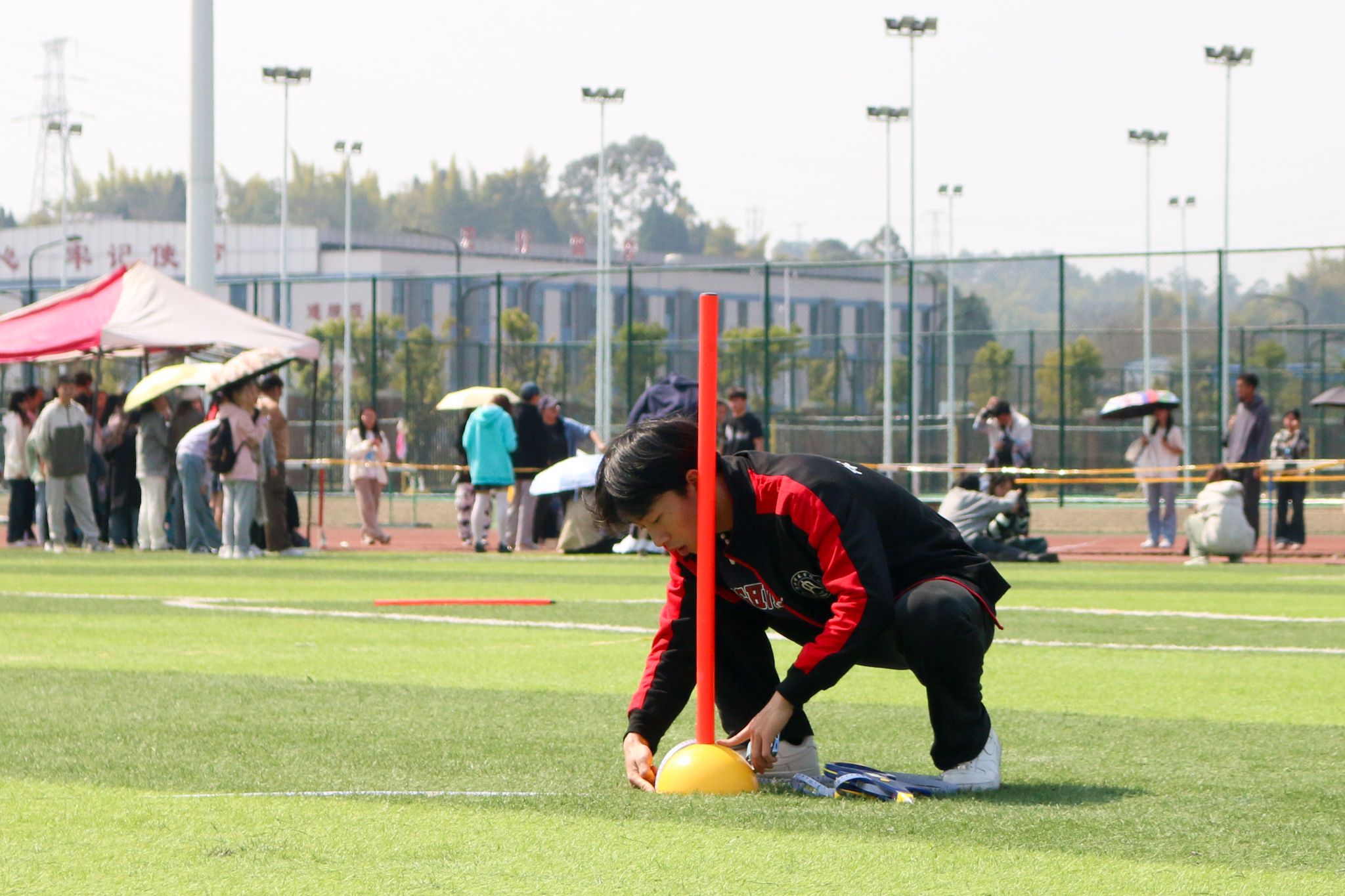 IMG_256 IMG_256