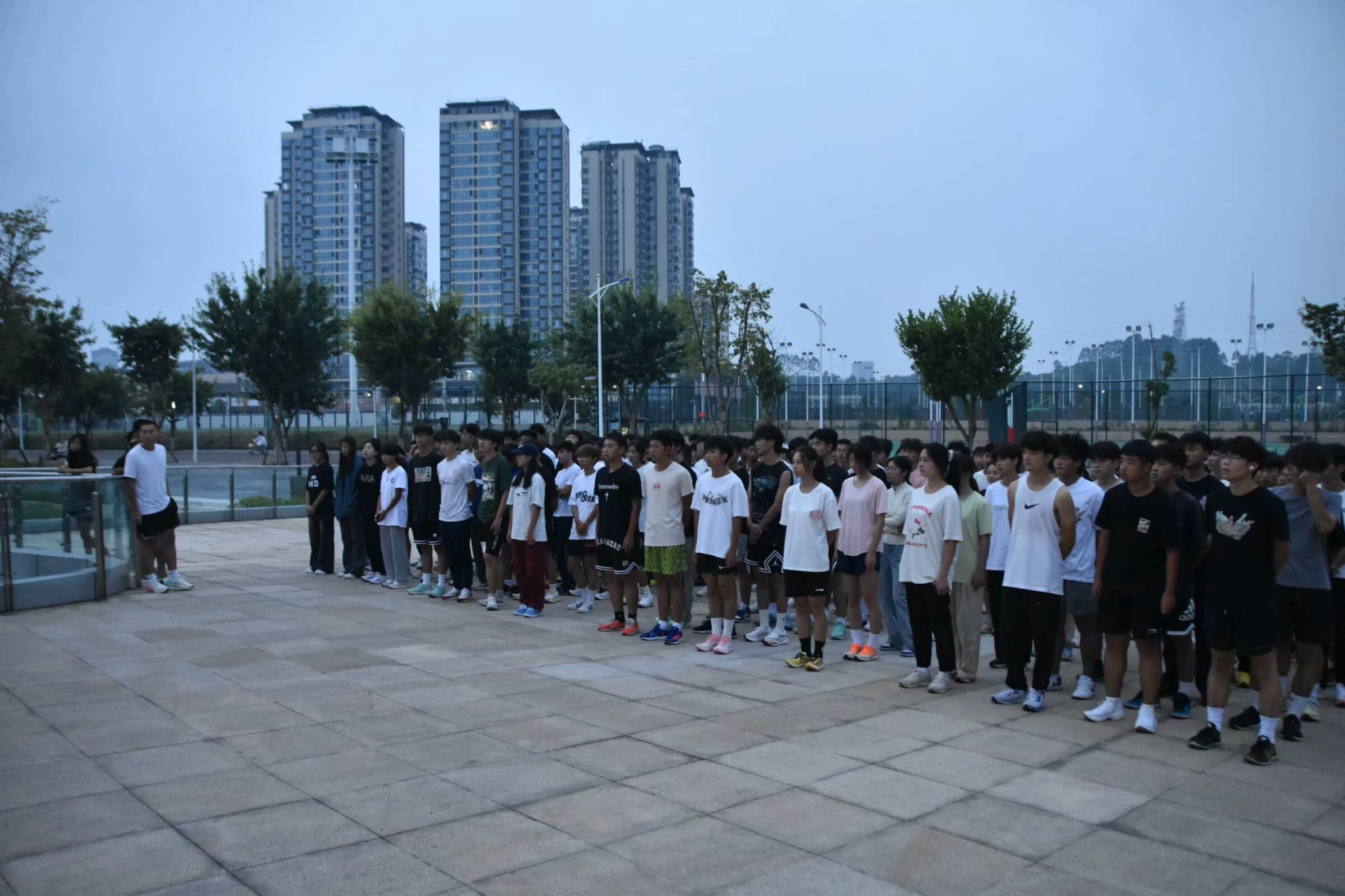 IMG_256 IMG_256