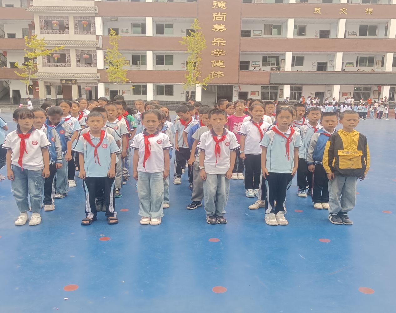 图片5 图片5